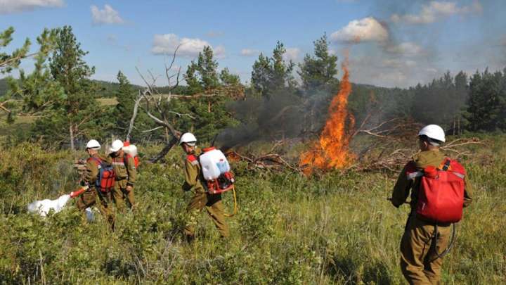 Бектенов қаулыға қол қойды: Орман және табиғат қорғау қызметкерлерінің жалақысы өседі