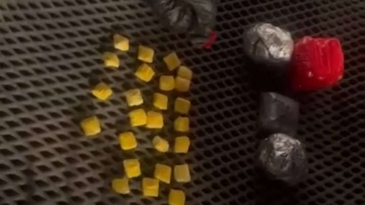 Көкшетау полицейлері есірткі жасырушыдан 185 бума тәркілеген (ВИДЕО)