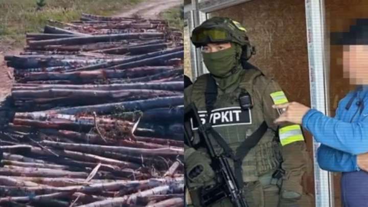 «Семей Орманы» директоры ұсталды (ВИДЕО)