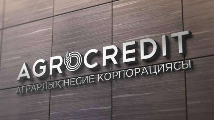 Аграрлық несие корпорациясы филиалының директоры 7 жыл арқалады