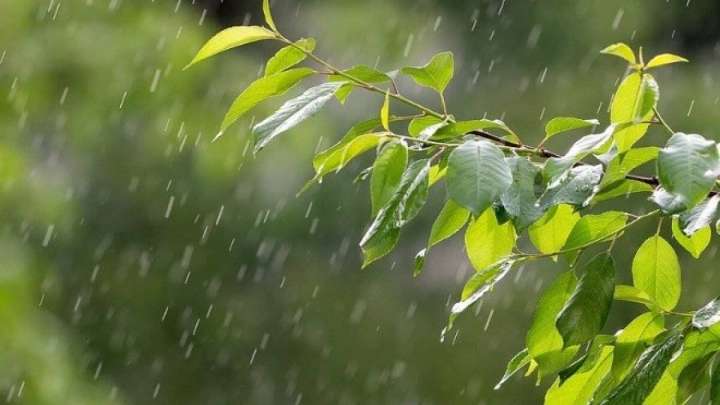 Демалыс күндері ауа райы құбылмалы болады