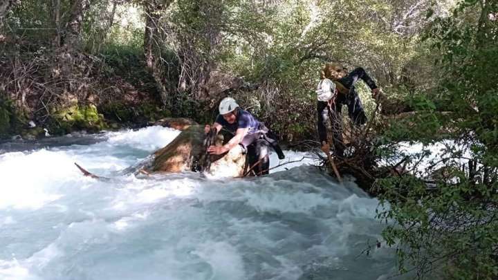 Түркістанда селфи жасаймын деп суға кеткен қыздың денесі табылды