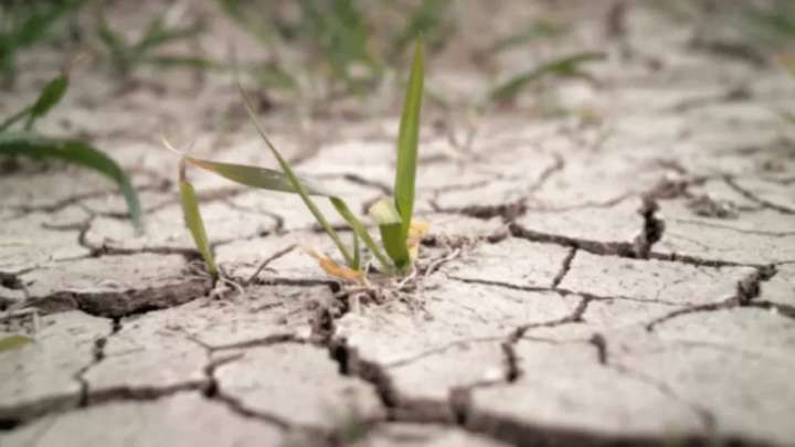 БҚО-дағы екі ауданда төтенше жағдай жарияланбақ