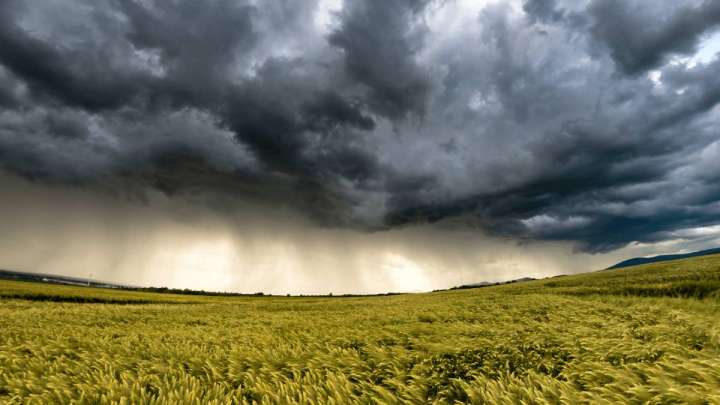 Найзағай, тұман, шаңды дауыл: синоптиктер ескертеді