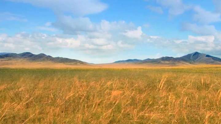 Мемлекет иелігіндегі жерді заңсыз басып алған компаниялар анықталды