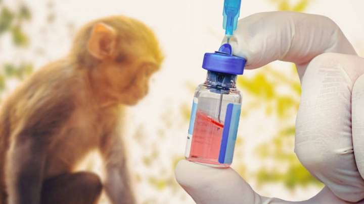 Африка елдеріне 230 мыңға жуық вакцина жеткізіледі