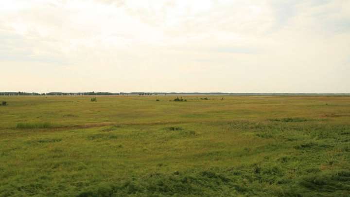 Жамбыл облысында биылдыққа 79 мың га жер мемлекетке қайтарылған