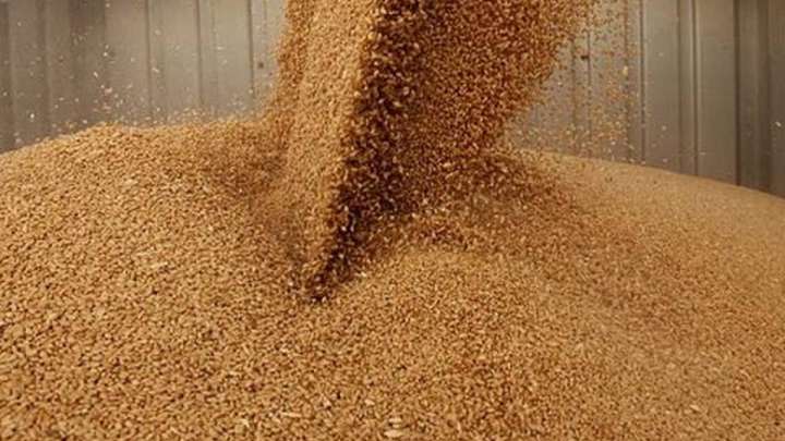 Ресейден Талдықорғанға заңсыз бара жатқан 4 вагон бидай кері қайтарылды