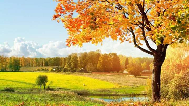 10 кыркүйекке арналған ауа райы болжамы