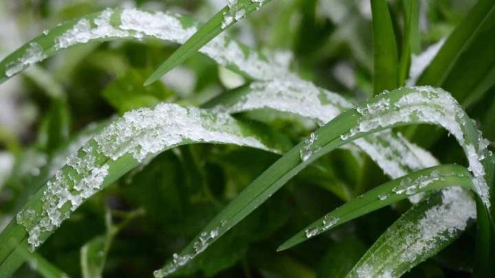 17 қыркүйекке арналған ауа райы болжамы