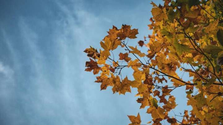 21 қыркүйекке арналған ауа райы болжамы