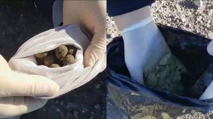 Жамбыл облысында көлік жолаушысы 12 келі есірткімен ұсталды