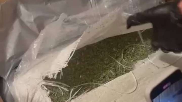 Астанада 34 келіге жуық марихуана тәркіленді (ВИДЕО)