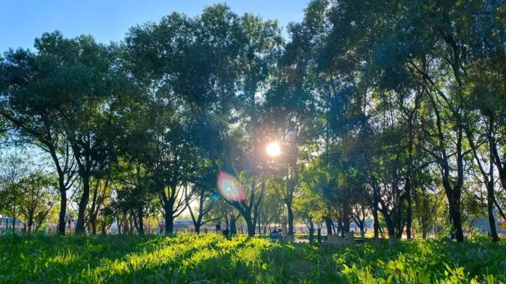 1 қазанға арналған ауа райы болжамы