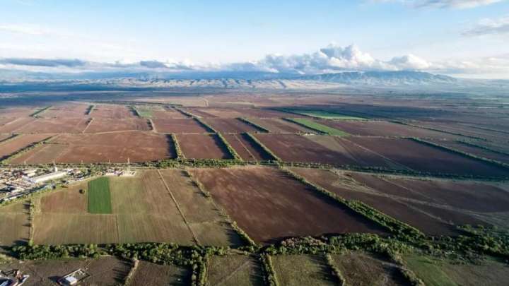 Жер телімін заңсыз иеленгендерге 4  млн теңге айыппұл салынды