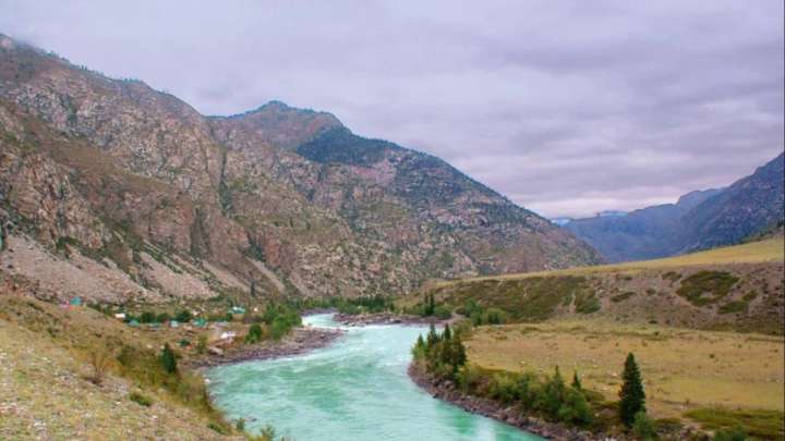 Жетісу облысында 221 гектар жер мемлекетке қайтарылды