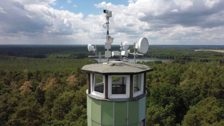 «Техника жеткіліксіз, маман жоқ». СҚО-да орман заңын бұзған шенеуніктер жауапқа тартылды