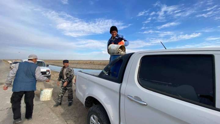 АШМ балық шабақтары қалай құтқарылып жатқанын көрсетті (ВИДЕО)