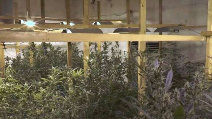 Алматыда ірі есірткі зертханасы жойылды