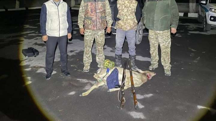 «Қызыл кітапқа» енген жануарларды аулаған браконьерлер ұсталды