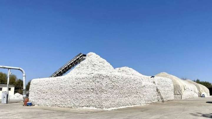 Түркістан облысында 40 тонна мақта жанып кетті