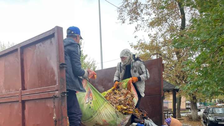 Шымкенттегі ауқымды сенбілікте 8 мың текше метрден астам қоқыс шығарылды