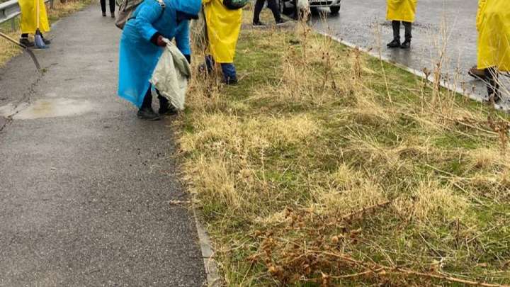 Шымкентцев объединил масштабный субботник в рамках акции «Чистый Казахстан»