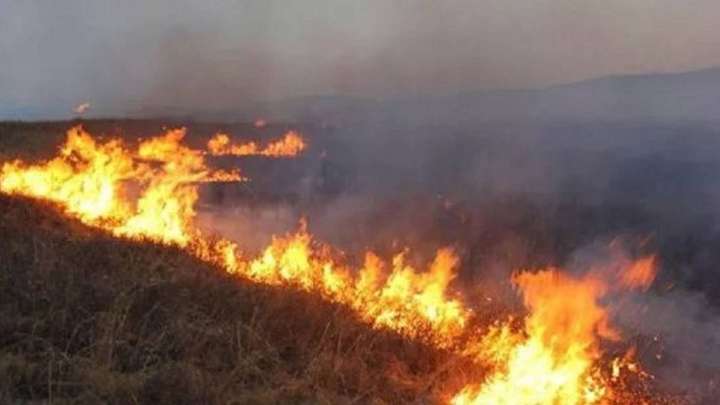 Дала мен орман өртінен сақтану жолдары