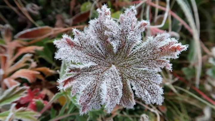 Бүгінгі ауа райы