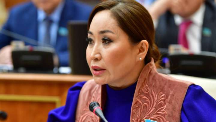 Депутат бала күтіміне берілетін демалысты ұзартуды ұсынды