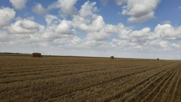 СҚО-да 30 мың га астам жер мемлекетке қайтарылған