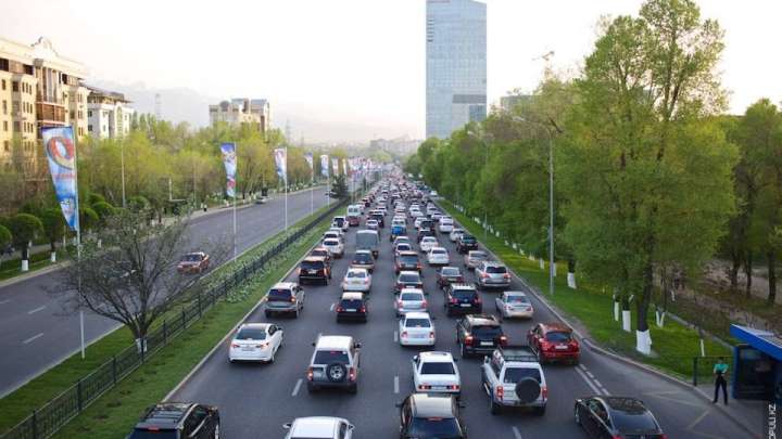 Елге көлік кіргізуге қойылатын шектеу. Депутат наразылық білдірді