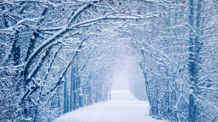 Қыс туралы өлеңдер