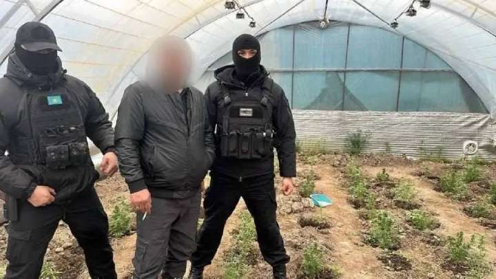 Есірткі зертханасын жасаған қызылордалық 12 жылға сотталды