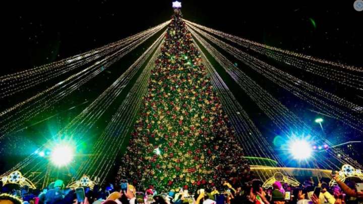 Семейде мұғалімді шырша құруға жұмсаған шенеуніктерге шара қолданылды