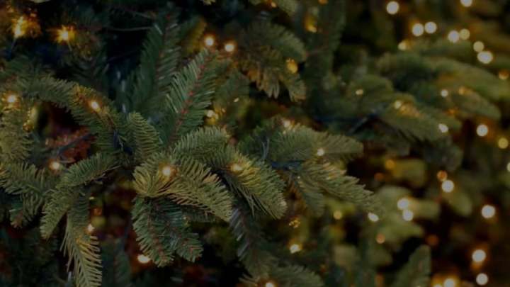 Семейдегі шыршаны мұғалімдер құрады. Жауапты коммуналдық мемлекеттік қазыналық кәсіпорны болған