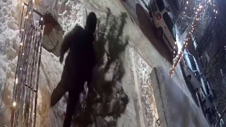 Оралда ауладағы шыршаны ұрлаған адам қолға түсті