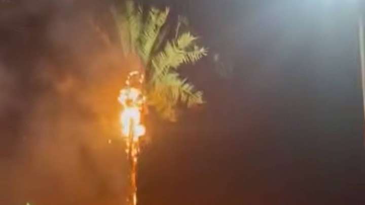 Ақтаудағы жасанды пальмалардың бірі өртеніп кетті (ВИДЕО)