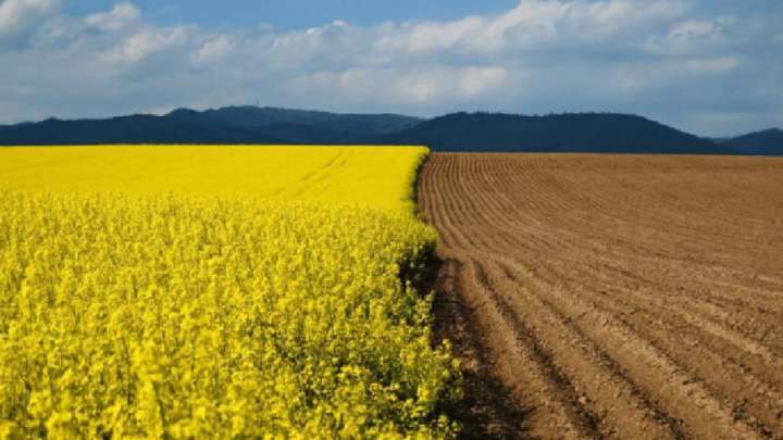 612 латифундистің қанша гектар жерді иеленіп алғаны анықталды