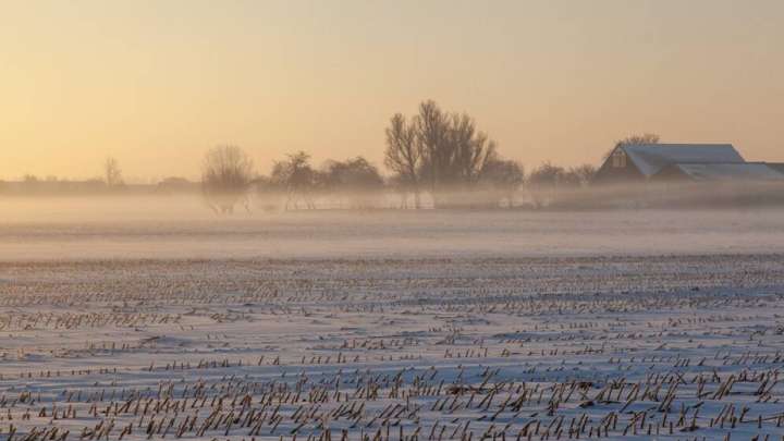 Биыл пайдаланылмай жатқан 2 млн га жер мемлекетке қайтарылады