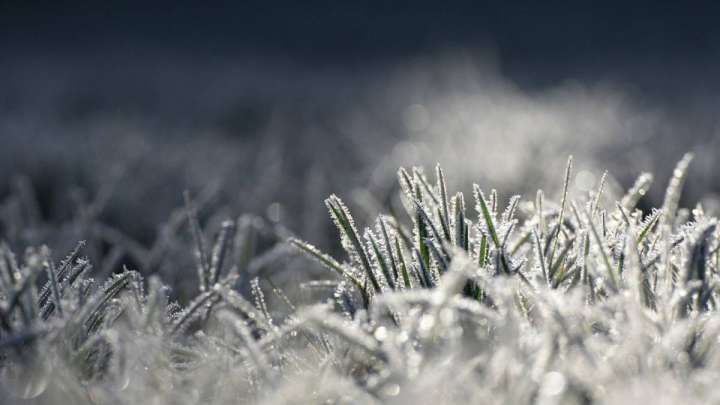 Демалыста ауа райы қандай болады