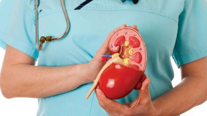 «Қарызым болды». 9 млн-ға бүйрегін сатқан ақтөбелік ұсталды