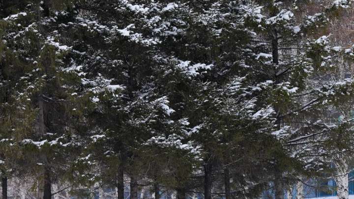 Елімізде ауа температурасының жарты ғасырдай уақыттан бергі рекорды жаңарды