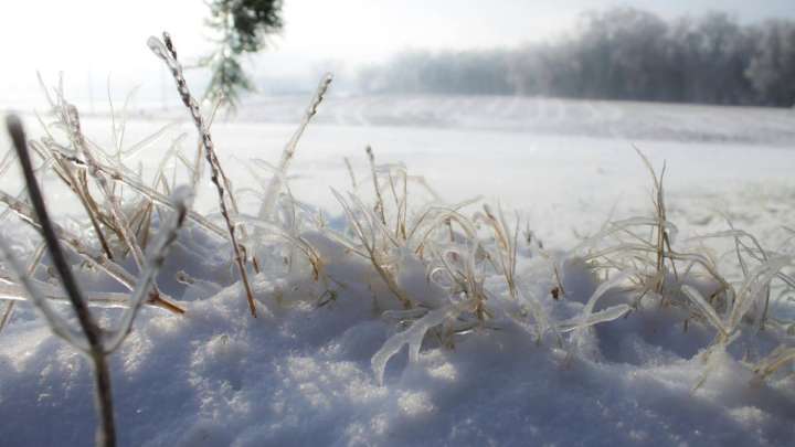 Бұрқасын, көктайғақ: Синоптиктер ескерту жасады