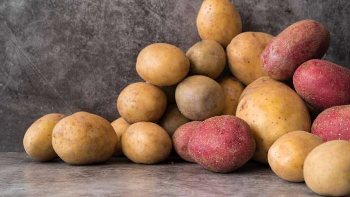 Картоп экспортына 6 айға шектеу енгізілмек