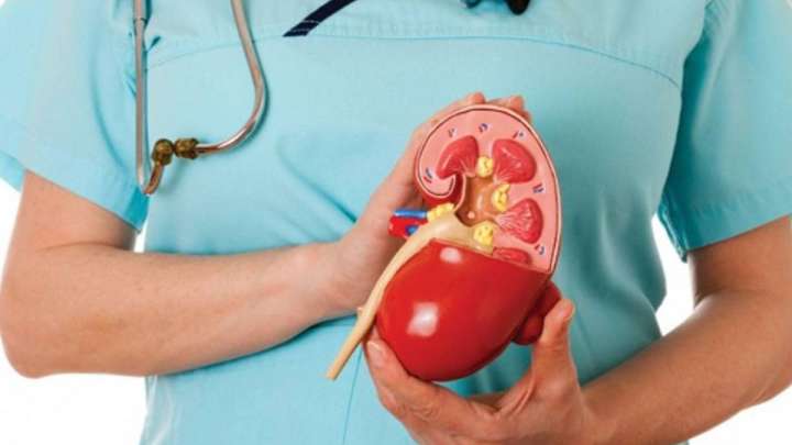 Бүйрегін 9 млн теңгеге сатқысы келген ер адам сотталып кетті