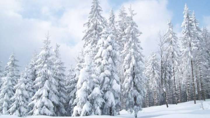 Төрт облысқа қар қалыпты мөлшерден артық түскен