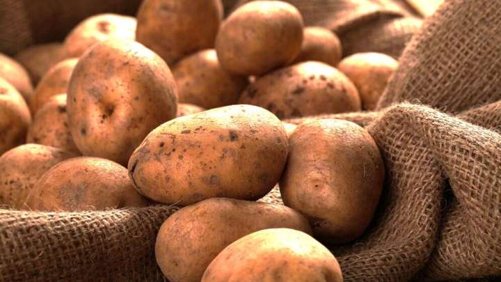 «Бір адамға – 5 келі». Астанада картоп сатуға шектеу енгізілді