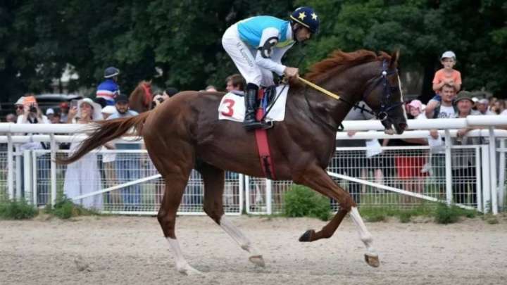 Әйгілі Кабирхан жаңа маусымдағы алғашқы жарысына қатысты