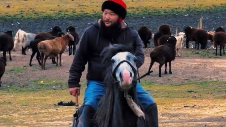 «Жылқыны қолға үйреткен қазақтар емес». Блогердің пікірі желі қолданушыларының ашуын туғызды